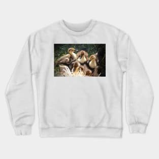 Ducklings Crewneck Sweatshirt